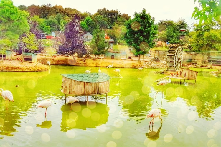 Istanbul Tourist Attractions 1 Isttanbll2