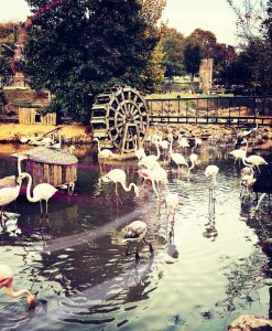 Zoopark Istanbul