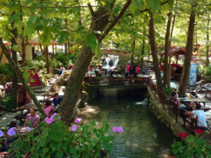 Masukiye - Sapanca Tours