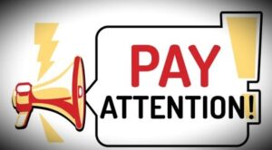 Pay attention to these points before choosing VIP Transfer