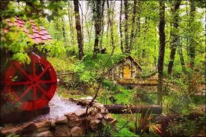 Daily Sapanca Lake and Masukiye Tour